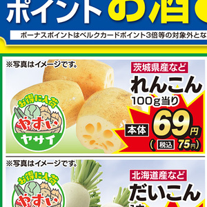 レンコン