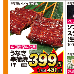 うなぎの蒲焼き