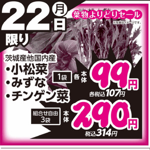 こまつ菜