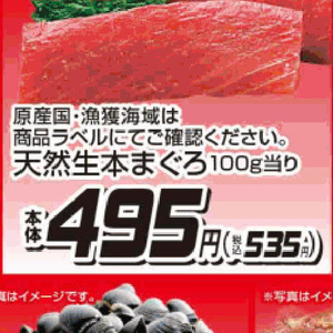まぐろ（刺身）
