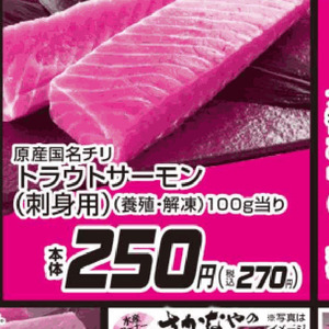 サーモン（刺身）