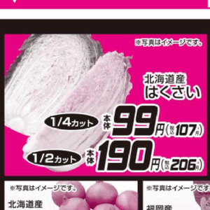 はくさい