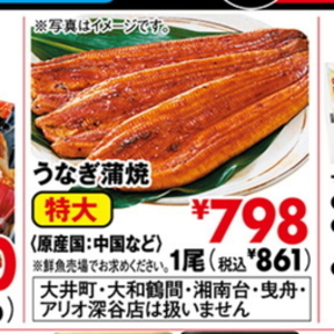 うなぎの蒲焼き