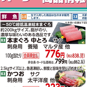 まぐろ中とろ
