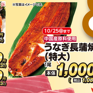 うなぎの蒲焼き