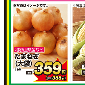 たまねぎ