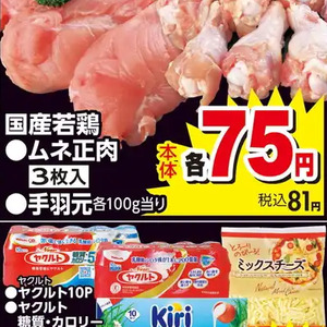 鶏手羽元