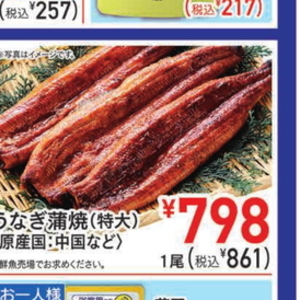 うなぎの蒲焼き