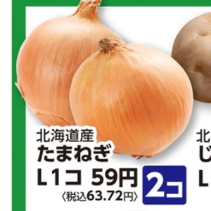 たまねぎ