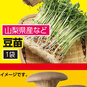 豆苗