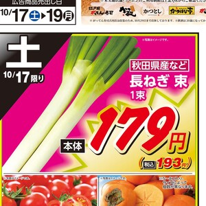 ながねぎ
