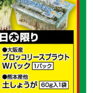 ブロッコリースプラウト