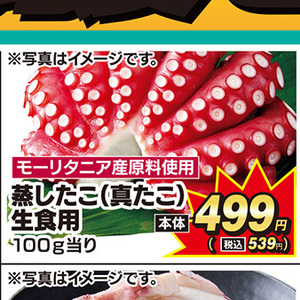 たこ（ボイル）