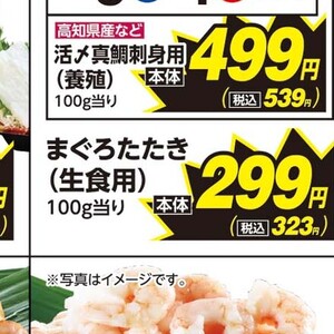 まぐろ（たたき）