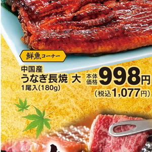 うなぎの蒲焼き