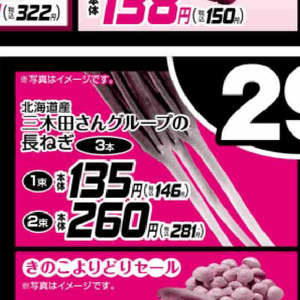 ながねぎ