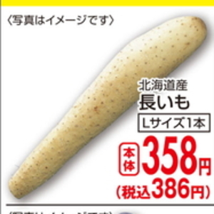ながいも