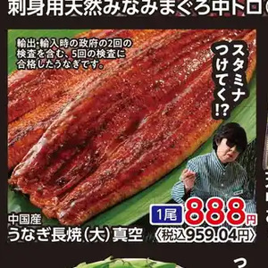 うなぎの蒲焼き