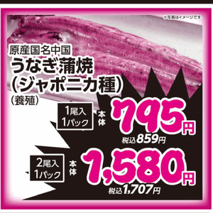 うなぎの蒲焼き