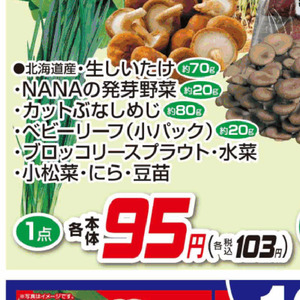 水菜