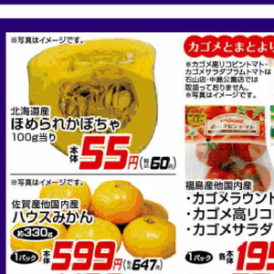 かぼちゃ
