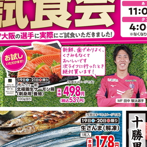 サーモン（さく取り）