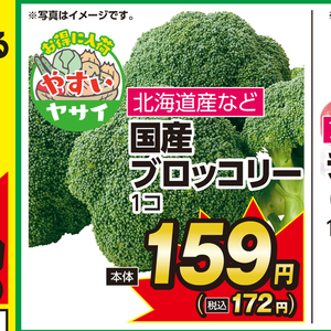 ブロッコリー