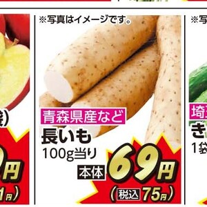 ながいも