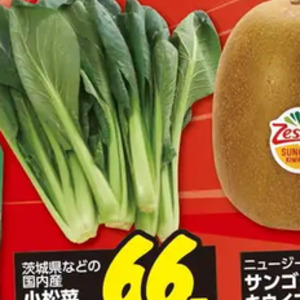 こまつ菜