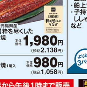 うなぎの蒲焼き