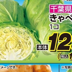 きゃべつ