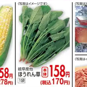 ほうれん草