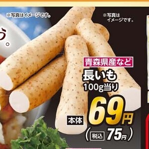 ながいも