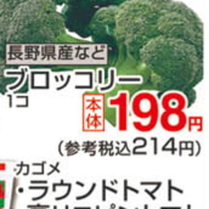 ブロッコリー