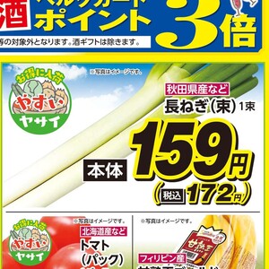 ながねぎ