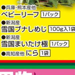 まいたけ