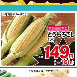 とうもろこし