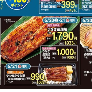 うなぎの蒲焼き