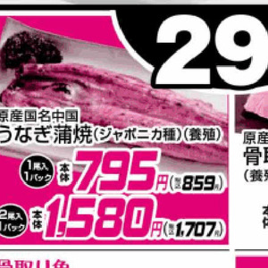 うなぎの蒲焼き