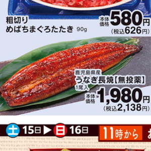 うなぎの蒲焼き