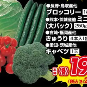 ブロッコリー
