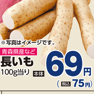 ながいも
