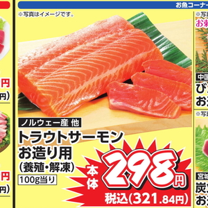 サーモン（刺身）