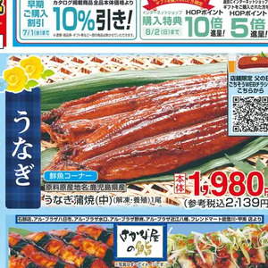 うなぎの蒲焼き