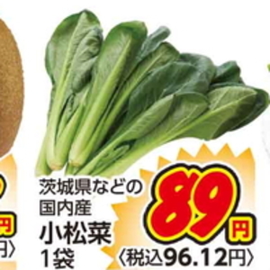 こまつ菜