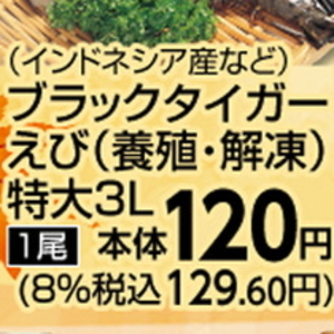 えび（ブラックタイガー）