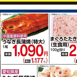 うなぎの蒲焼き