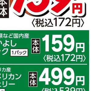 はくさい