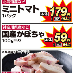 かぼちゃ