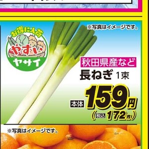 ながねぎ